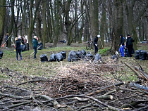 В течение месяца в Калининграде пройдут городские субботники
