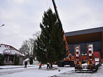 В Советске устанавливают главную новогоднюю ёлку (фото)