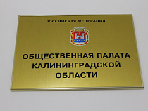 Общественные советы при власти привяжут к общественной палате