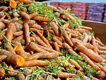 Цены на еду уже встали Калининградской области поперёк горла