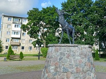 В Знаменске вандалы налетели на площадь и сквер