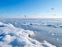 Появляются первые признаки превращения Балтийского моря в лёд