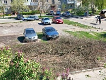 Жители Калининграда нашли ещё один источник бесплатных дров