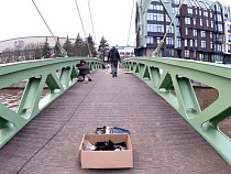 Новый мост через преголю в Калининграде близок к открытию