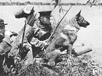 Калининградцы собирают деньги на монумент пограничникам 