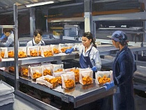 Государственная «Программа 1764» в 2025 году лидировала в льготном кредитовании