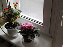 Калининградец, попавшийся на фиктивной постановке на учет иностранцев, оштрафован на 140 тыс. рублей 