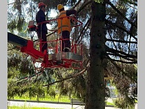 В Центральном парке людям предложили отдыхать стоя целую неделю