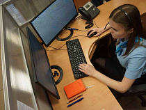 МЧС: в Калининградской области за сутки ликвидировано 7 пожаров