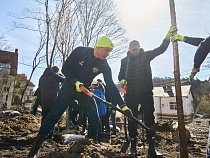 Алиханов вернулся в Калининград ради посадок