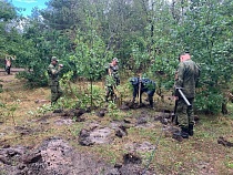 Под Балтийском нашли более 800 снарядов, гранат, мин, авиабомб