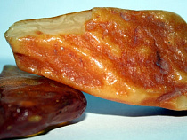 В МАПП Советск задержан калининградец, спрятавший в бензобаке своего автомобиля 34 кг янтаря-сырца