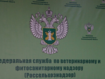 СМИ: Россельхознадзор с 15 февраля запретит ввоз кукурузы из США