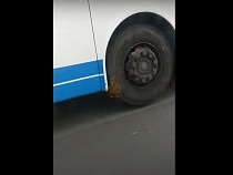 Водители раскритиковали снявших на видео аварийный автобус на Зеленоградск 