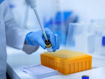 В Калининграде оценят иммунитет к коронавирусу у детей и подростков 