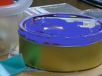 Тушенку из Калининграда забраковали на Белгородчине