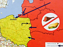 Россельхознадзор оценил риск распространения АЧС в Калининградской области