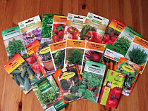 В России 70% семян овощей и пряностей никогда не всходят