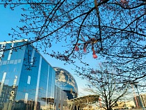 Назван минимум на термометре в Калининградской области на неделю