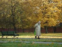 На улице Грига «Форд» сбил 85-летнюю женщину