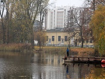 В Калининграде ищут причины массовых смертей рыб в Южном парке