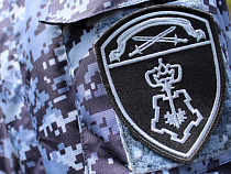 В Калининграде в кустах нашли вора