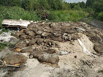 Власти нашли владельца трупов животных у Чёртова моста