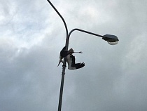 На трассе Калининград — Чернышевское в опоре освещения застрял аист