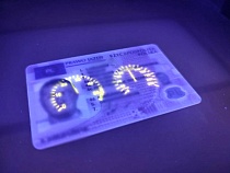 Рвавшегося в Калининград немца остановили в Польше с подделкой прав