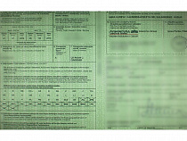 В Безледах снова поймали калининградку с поддельным зелёным полисом из Литвы