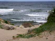 Калининградские курорты могут генерировать больше стоков