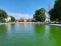 33-летняя из Славска прикинулась женой жителя Немана