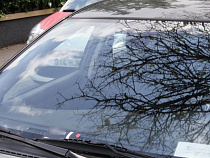 Управляющая компания заплатит мужчине за упавшее на его авто дерево