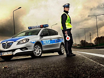 Укушенного медведем поляка ищет полиция