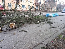 В Калининградской области отменили предупреждение о шторме