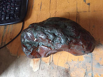 В Калининградской области нашли янтарь редкого цвета 