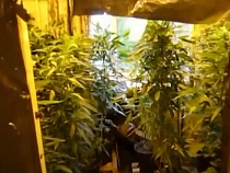 В Гвардейске нашли нарколабораторию в частной квартире