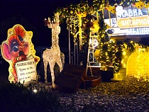 В Зеленоградске прямо в парке к Новому году завели сияющих оленей