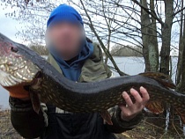 Рыбакам из Калининградской области запрещают ловить щуку