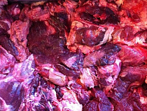 В порту Калининград задержали 130 т мясопродуктов из Аргентины и Бразилии