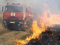 В течение суток калининградские пожарные пять раз выезжали тушить траву