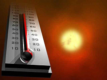 Калининград оказался на пороге температурного рекорда