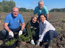 Под Светлогорском под фанфары стали высаживать хвойные деревья