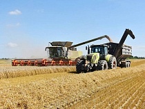 В Калининграде объяснили причину выплаты субсидий бизнесу 