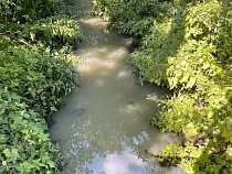 В реку Лесную в Калининграде снова слили вонючую жижу