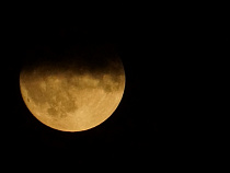 Гопник на Ломоносова выбивал из прохожих бабки - полиция