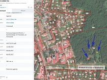 Росимущество не сказало властям Калининграда об аукционе в чкаловском лесу