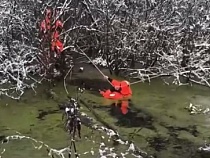 В Полесском районе мужчина заблудился в гиблом лесу