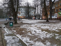 В Калининградской области потеплеет. Надолго? 