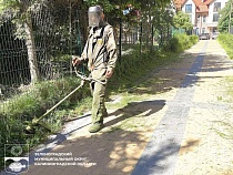 Китаев обломил частный покос в Зеленоградске